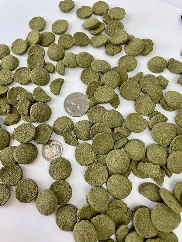 Nutritious Fish Food - Algae Disc Wafers for Algae Eaters, Plecos, and Bottom Feeders - 10 oz. Pouch in Saudi Arabia