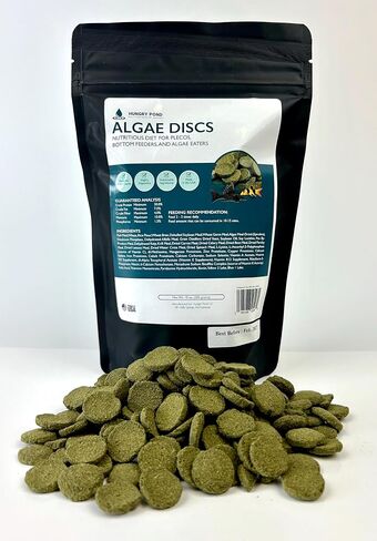 Nutritious Fish Food - Algae Disc Wafers for Algae Eaters, Plecos, and Bottom Feeders - 10 oz. Pouch in Saudi Arabia