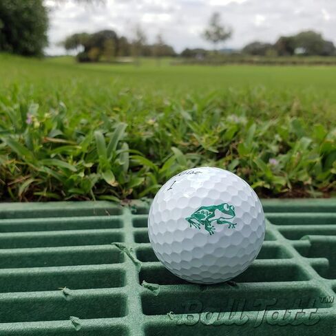 Cactus Golf Ball Stamp, Golf Ball Stamper, Self-Inking Golf Ball Stamp Markers, Reusable Golf Ball Marking Tool to Identify Golf Balls, Golfer Gift Golfing Accessories in Saudi Arabia