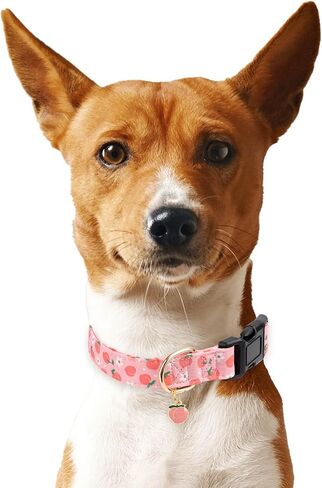 Cotton Dog Collar,Soft and Cute Puppy Collars with Lemon Patterned Design for Girl Female Boy Dogs,Adjustable Buckle Pet Collar for Small Medium Large Dogs (Yellow Lemon, Medium) in Kuwait