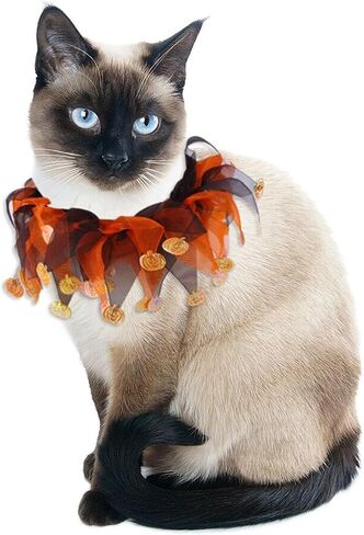 Elegant little tail 1PCS Dog Halloween Costume - Dog Cat Pumpkin Tutu Collar Dog with Halloween Pumpkin Patterns Pet Tutu Collar Suit Pet Halloween Costume for Cats Small Medium Dogs in Saudi Arabia