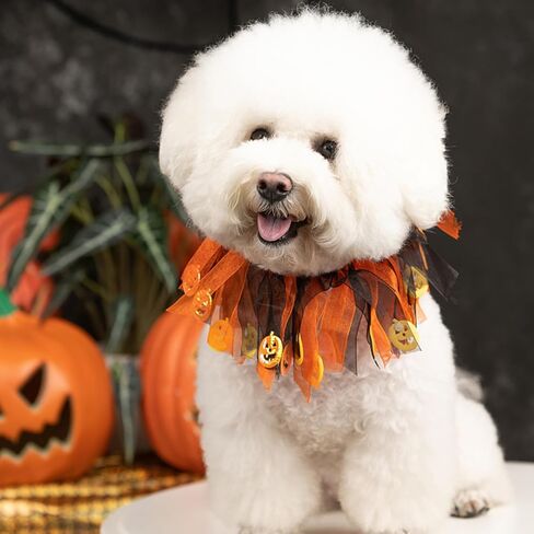 Elegant little tail 1PCS Dog Halloween Costume - Dog Cat Pumpkin Tutu Collar Dog with Halloween Pumpkin Patterns Pet Tutu Collar Suit Pet Halloween Costume for Cats Small Medium Dogs in Saudi Arabia