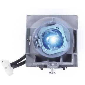 RLC-108 Replacement Lamp Bulb with Housing Fits for VIEWSONIC PA503S PA503X PA500S PA500X PA502ES PA502XE PA503SP PA503XP PG603X PS501X PS600X VS16909 VS16905 Projector Lamp (RLC-108 Module Lamp)
