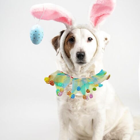 Elegant little tail 1PCS Dog Halloween Costume - Dog Cat Pumpkin Tutu Collar Dog with Halloween Pumpkin Patterns Pet Tutu Collar Suit Pet Halloween Costume for Cats Small Medium Dogs in Saudi Arabia