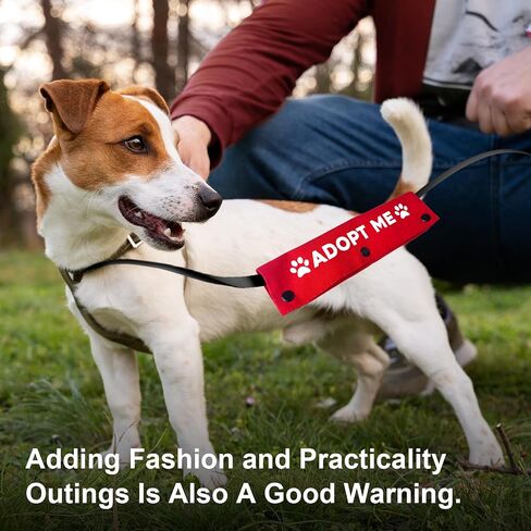 YROVWENQ Funny Dog Leash Red Wrap for Dog Ropes with Ignore Sign (Adopt Me) in Saudi Arabia
