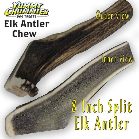 Elk Antler Chews 8 Inch Split 100% Elk Antler Dog Chews… in Saudi Arabia