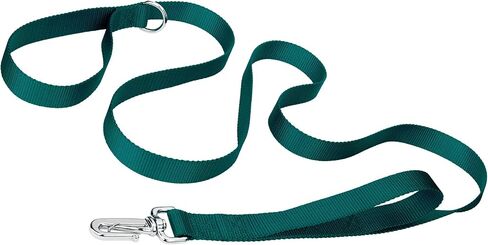 Country Brook Petz - Deluxe Nylon Dog Leash with Traffic Handle and Extra Secure Snap - 30+ Colors (6 Foot, 1 Inch Wide, Teal) in Saudi Arabia