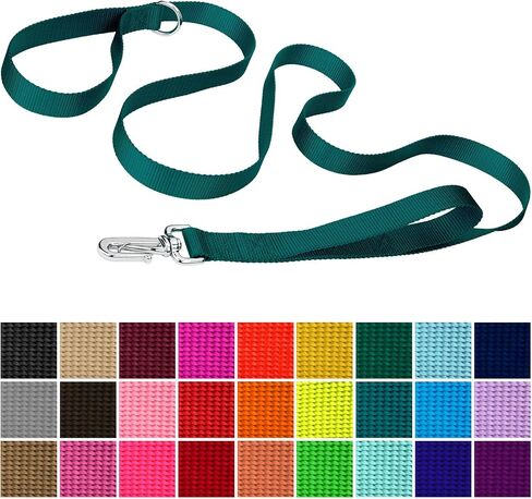 Country Brook Petz - Deluxe Nylon Dog Leash with Traffic Handle and Extra Secure Snap - 30+ Colors (6 Foot, 1 Inch Wide, Teal) in Saudi Arabia