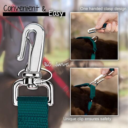 Country Brook Petz - Deluxe Nylon Dog Leash with Traffic Handle and Extra Secure Snap - 30+ Colors (6 Foot, 1 Inch Wide, Teal) in Saudi Arabia