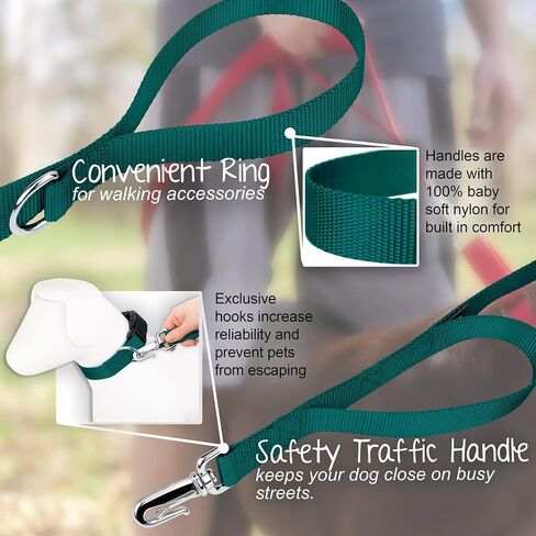 Country Brook Petz - Deluxe Nylon Dog Leash with Traffic Handle and Extra Secure Snap - 30+ Colors (6 Foot, 1 Inch Wide, Teal) in Saudi Arabia
