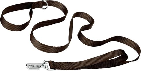 Country Brook Petz - Deluxe Nylon Dog Leash with Traffic Handle and Extra Secure Snap - 30+ Colors (6 Foot, 1 Inch Wide, Teal) in Saudi Arabia