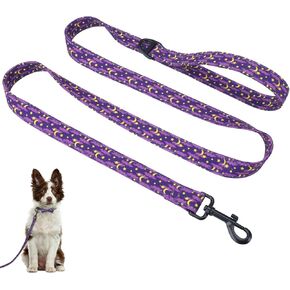 Taglory Christmas Dog Leash, 5FT Soft Cotton Leash, Heavy Duty D-Ring, Cute Santa Reindeer Pattern Leash for Puppy Small Medium Large Dogs Christmas Celebration, Green, 3/4inch