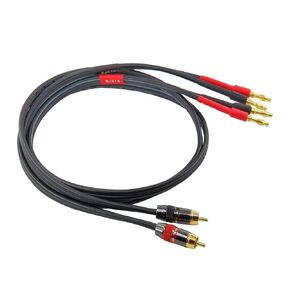 WJSTN Banana Plug to RCA Speaker Cable,Banana Plug to RCA Phono Speaker Wire Adapter Cables 12AWG Cables,2Pack 10FT