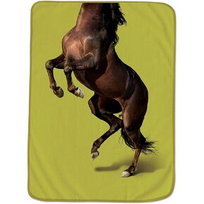 Fred & Friends HOWLIGANS Exotic PET Blanket