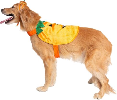 Pet Krewe X-Large Dog Pumpkin Outfit - Pet Pumpkin Costume - Fits Small, Medium, Large and Extra Large Dogs, Cats - Perfect for Halloween, Christmas Holiday, Parties, Photoshoots, Gifts for Dog lovers in Saudi Arabia