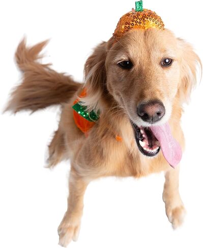 Pet Krewe X-Large Dog Pumpkin Outfit - Pet Pumpkin Costume - Fits Small, Medium, Large and Extra Large Dogs, Cats - Perfect for Halloween, Christmas Holiday, Parties, Photoshoots, Gifts for Dog lovers in Saudi Arabia