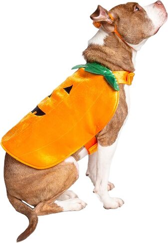 Pet Krewe X-Large Dog Pumpkin Outfit - Pet Pumpkin Costume - Fits Small, Medium, Large and Extra Large Dogs, Cats - Perfect for Halloween, Christmas Holiday, Parties, Photoshoots, Gifts for Dog lovers in Saudi Arabia