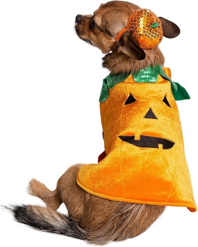 Pet Krewe X-Large Dog Pumpkin Outfit - Pet Pumpkin Costume - Fits Small, Medium, Large and Extra Large Dogs, Cats - Perfect for Halloween, Christmas Holiday, Parties, Photoshoots, Gifts for Dog lovers in Saudi Arabia