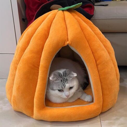 Cat Beds for Indoor Cats, Pumpkin Cat House,Cute Pumpkin Shape Cat Cave Bed Cat Tent with Removable Cushion, Warm Cave Nest Sleeping Bed Puppy House for Cats Small Dogs (Orange, 22 in) in Saudi Arabia