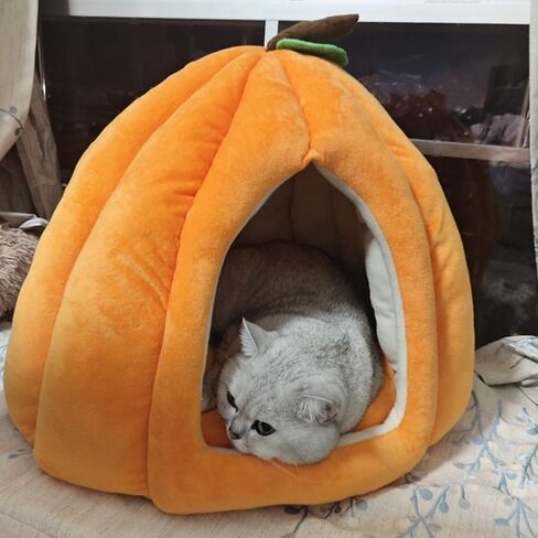 Cat Beds for Indoor Cats, Pumpkin Cat House,Cute Pumpkin Shape Cat Cave Bed Cat Tent with Removable Cushion, Warm Cave Nest Sleeping Bed Puppy House for Cats Small Dogs (Orange, 22 in) in Saudi Arabia