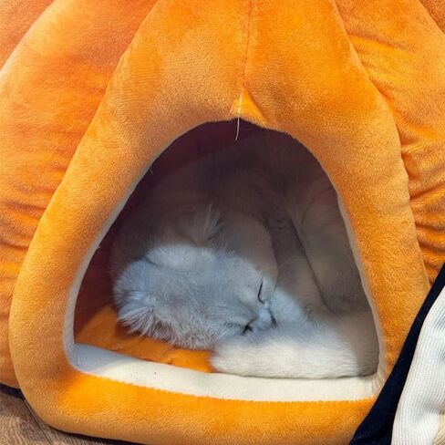 Cat Beds for Indoor Cats, Pumpkin Cat House,Cute Pumpkin Shape Cat Cave Bed Cat Tent with Removable Cushion, Warm Cave Nest Sleeping Bed Puppy House for Cats Small Dogs (Orange, 22 in) in Saudi Arabia