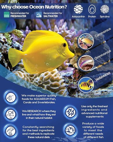 مشابك الأعشاب البحرية لتغذية الأسماك من Ocean Nutrition لأسماك المياه المالحة - أكواب شفط لحوض السمك، تحافظ على الطعام سليمًا، وتطيل عملية التغذية، عبوة من 36 قطعة للتانج، وسمك الأرانب، والسمك الملائكي البحري، والأعشاب، والفتيات in Kuwait