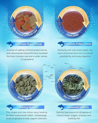 مشابك الأعشاب البحرية لتغذية الأسماك من Ocean Nutrition لأسماك المياه المالحة - أكواب شفط لحوض السمك، تحافظ على الطعام سليمًا، وتطيل عملية التغذية، عبوة من 36 قطعة للتانج، وسمك الأرانب، والسمك الملائكي البحري، والأعشاب، والفتيات in Kuwait
