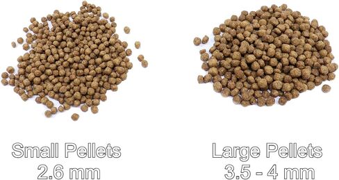 Sho Koi Impact - Large Floating Pellet (5.5mm) 3 lbs in Saudi Arabia