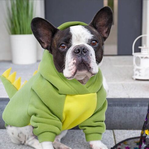 QBLEEV Dinosaur Dog Clothes Pet Costume for Cosplay & Halloween, Dog Hoodie Warm Jacket with Cartoon Design Dog Costumes Halloween Cosplay Party Pet Coat for Small Medium Large Dogs & Cats (Green,XL) in Saudi Arabia