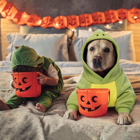 QBLEEV Dinosaur Dog Clothes Pet Costume for Cosplay & Halloween, Dog Hoodie Warm Jacket with Cartoon Design Dog Costumes Halloween Cosplay Party Pet Coat for Small Medium Large Dogs & Cats (Green,XL) in Saudi Arabia