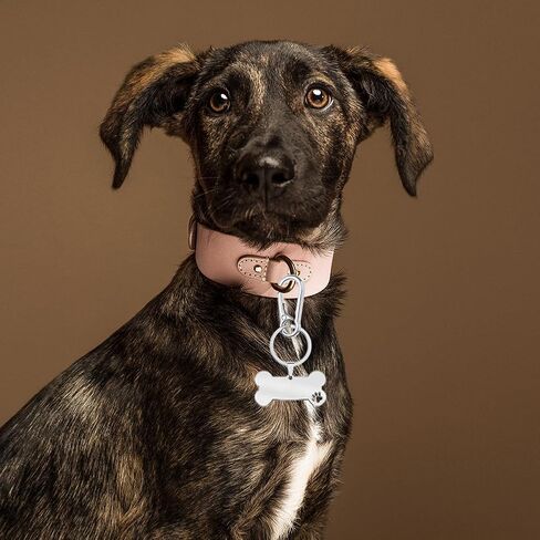 4 قطع من مشبك علامة الكلب، مشابك سريعة لعلامة الكلب من الفولاذ المقاوم للصدأ، علامة اسم الكلب الشخصية عالية التحمل، مشبك سريع للكلاب، علامات معرف الكلب لطوق الحيوانات الأليفة وملحقات حلقة المفاتيح in Kuwait