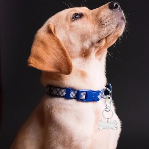 4 قطع من مشبك علامة الكلب، مشابك سريعة لعلامة الكلب من الفولاذ المقاوم للصدأ، علامة اسم الكلب الشخصية عالية التحمل، مشبك سريع للكلاب، علامات معرف الكلب لطوق الحيوانات الأليفة وملحقات حلقة المفاتيح in Kuwait