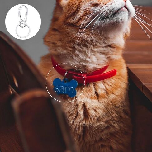 4 قطع من مشبك علامة الكلب، مشابك سريعة لعلامة الكلب من الفولاذ المقاوم للصدأ، علامة اسم الكلب الشخصية عالية التحمل، مشبك سريع للكلاب، علامات معرف الكلب لطوق الحيوانات الأليفة وملحقات حلقة المفاتيح in Kuwait