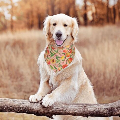 Modern Rainbow Tie Dye Hippie Bohemia Dog Bandana Scarf Triangle Bibs Pet Accessories Cat Kerchief in Saudi Arabia