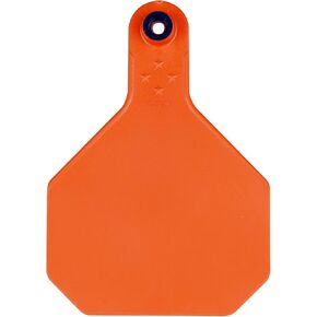 Y-TEX CORPORATION Large Orange Blank Tag (25 Pack)