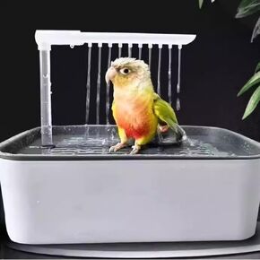 Parrot Automatic Bathing Box with USB- Adjustable Faucet for African Grey, Amazon Conure, & Parakeet - Perfect Summer Bathing Solution