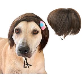 DS. DISTINCTIVE STYLE Dog Wig for Small and Medium Breeds Trimmable Pet Costume Accessories Cat Cosplay Prop for Halloween, Christmas, and Dress Parties
