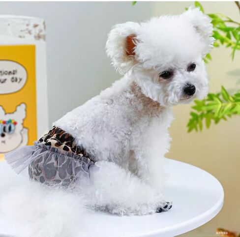 Small Dog Sanitary Panties, Lace Washable Reusable Cute Puppy Panties Pet Underwear Diaper Physiological Shorts for Female Girls Dogs(Yellow Plaid,S in Kuwait