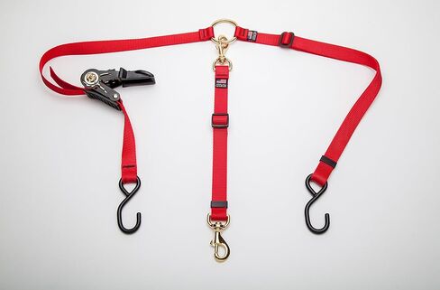Cetacea Pet Truck Bed Tether with Ratchet Tightening Hardware, One Size, Red in Kuwait