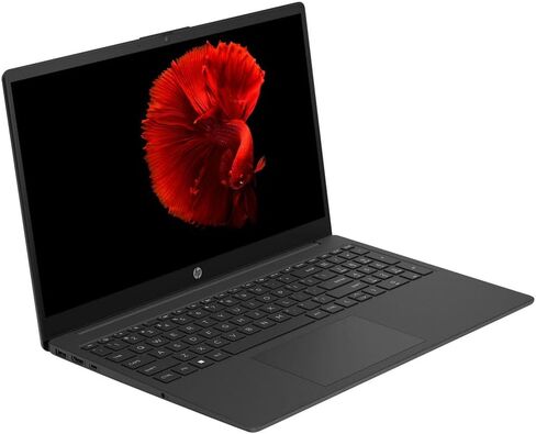 كمبيوتر محمول HP Newest Essential مقاس 15.6 بوصة، معالج Inter N200 رباعي النواة، كمبيوتر محمول Windows 11، ذاكرة الوصول العشوائي 32 جيجابايت، سعة تخزين 384 جيجابايت (128 جيجابايت SSD + بطاقة SD 256 جيجابايت)، لوحة مفاتيح رقمية، مصراع خصوصية الكاميرا، سماع in Saudi Arabia