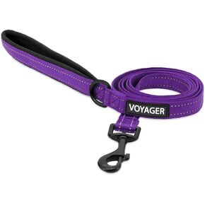 Voyager Reflective Dog Leash with Neoprene Handle, 6ft Long, Supports Small, Medium, and Large Breed Puppies, Cute and Heavy Duty for Walking, Running, and Training - Purple, L