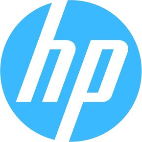 HP EG0300FARTT 300GB 10K 2.5 SAS DP 6G HDD With Tray (Renewed)
