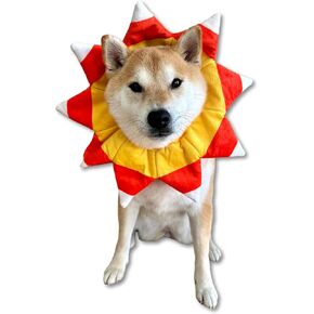 ComfyCamper Dog Candy Corn Neck Collar Costume - XXS Small Medium XL XXL Pumpkin Cosplay Halloween Costumes, M