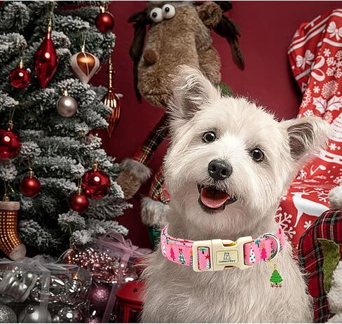 Lionheart glory Easter Dog Collar Colorful Collar for Medium Dog Collars Easter Egg Print Dog Collars Spring Female or Male Pet Gift Adjustable Heavy-Duty Holiday Dog Collar Plastic Buckle in Kuwait