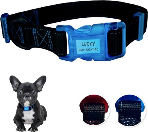طوق Sporn Dog ID للكلاب المتوسطة، طوق كلب صغير باللونين الأسود والأزرق مصنوع من النايلون مع خياطة ملونة متباينة، أطواق الكلاب للكلاب المتوسطة تتضمن 3 قطع من الورق المقاوم للماء مطوي مسبقًا in Saudi Arabia