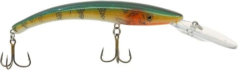 Reef Runner 800 Series Runner, 6-3/16-Inch, Green Perch in Saudi Arabia