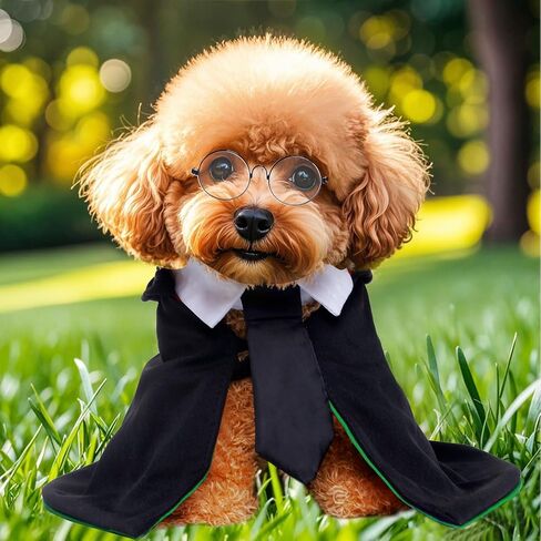Dog Cat Halloween Costumes,Witch and Wizard Costume Cloak, Role-Playing Costume Accessories, Glasses and Tie Set,Suitable for Small and Medium-Sized Cat and Dog in Saudi Arabia