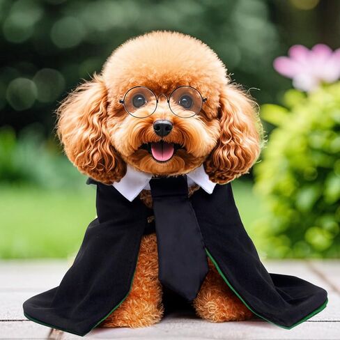 Dog Cat Halloween Costumes,Witch and Wizard Costume Cloak, Role-Playing Costume Accessories, Glasses and Tie Set,Suitable for Small and Medium-Sized Cat and Dog in Saudi Arabia
