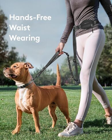 MIDOG Multifunctional Hands Free Dog Leash - Adjustable Waist Leash with Zipper Pounch& Bungee Cord,Heavy Duty No Pull Leash for Large Dog Jogging/Hiking/Walking(4-7FT,Black) in Saudi Arabia
