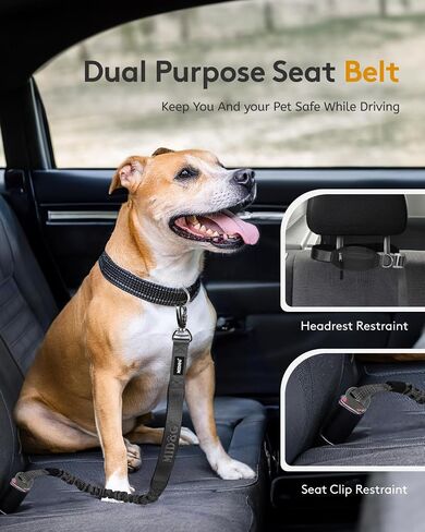 MIDOG Multifunctional Hands Free Dog Leash - Adjustable Waist Leash with Zipper Pounch& Bungee Cord,Heavy Duty No Pull Leash for Large Dog Jogging/Hiking/Walking(4-7FT,Black) in Saudi Arabia